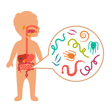 Профилактика нематодозов: инфекционист педиатру